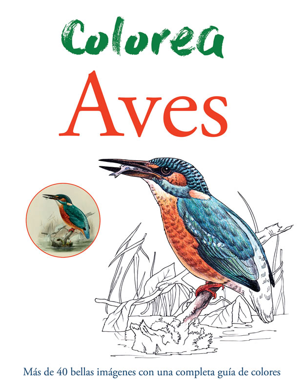 Colorea aves